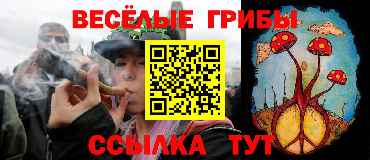 Псилоцибиновые грибы прущие грибы Чита