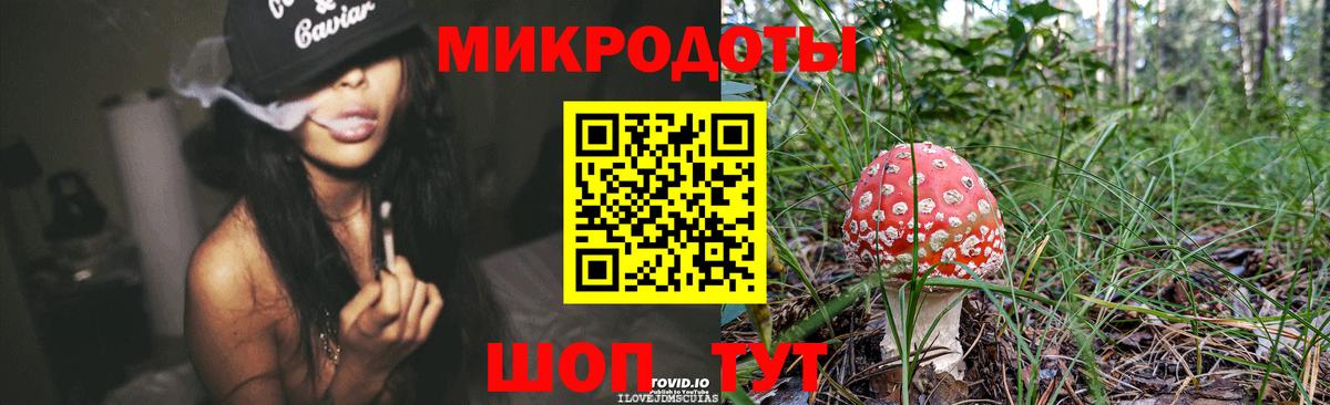 Чита  сколько стоит  Вход с VPN  Галлюциногенные грибы ЛСД  Галлюциногенные грибы MAGIC MUSHROOMS 